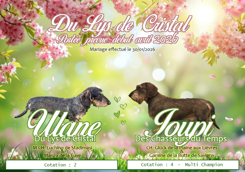 Ulane du Lys de Cristal et Multi CH. Ioupi des Chasseurs du Temps